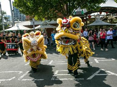 Watch on as a traditional lion dance makes its way through the Queen Vic Market to celebrate Lunar New Year and the Year...