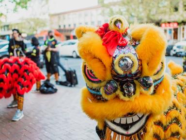 Let's welcome in the Year of the Tiger and celebrate Lunar New Year in Dickson! City Renewal Authority is putting on a t...