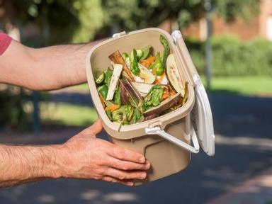 Minimise Odours & Learn What Goes in the Food Waste Bin