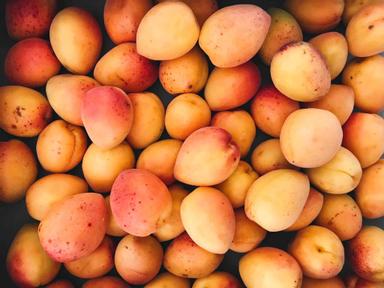 The 2021 Mango Madness Festival is a family friendly event, including food stalls and tastings showcasing mango inspired food