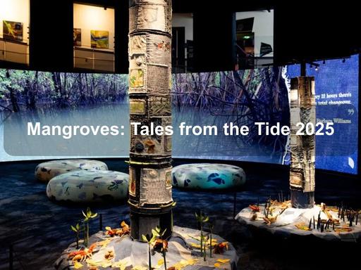 Be transported to the magical mangroves of Australia’s Top End in Mangroves - Tales from the Tide Be transported to the magical mangroves of Australia’s Top End in Mangroves - Tales from the Tide