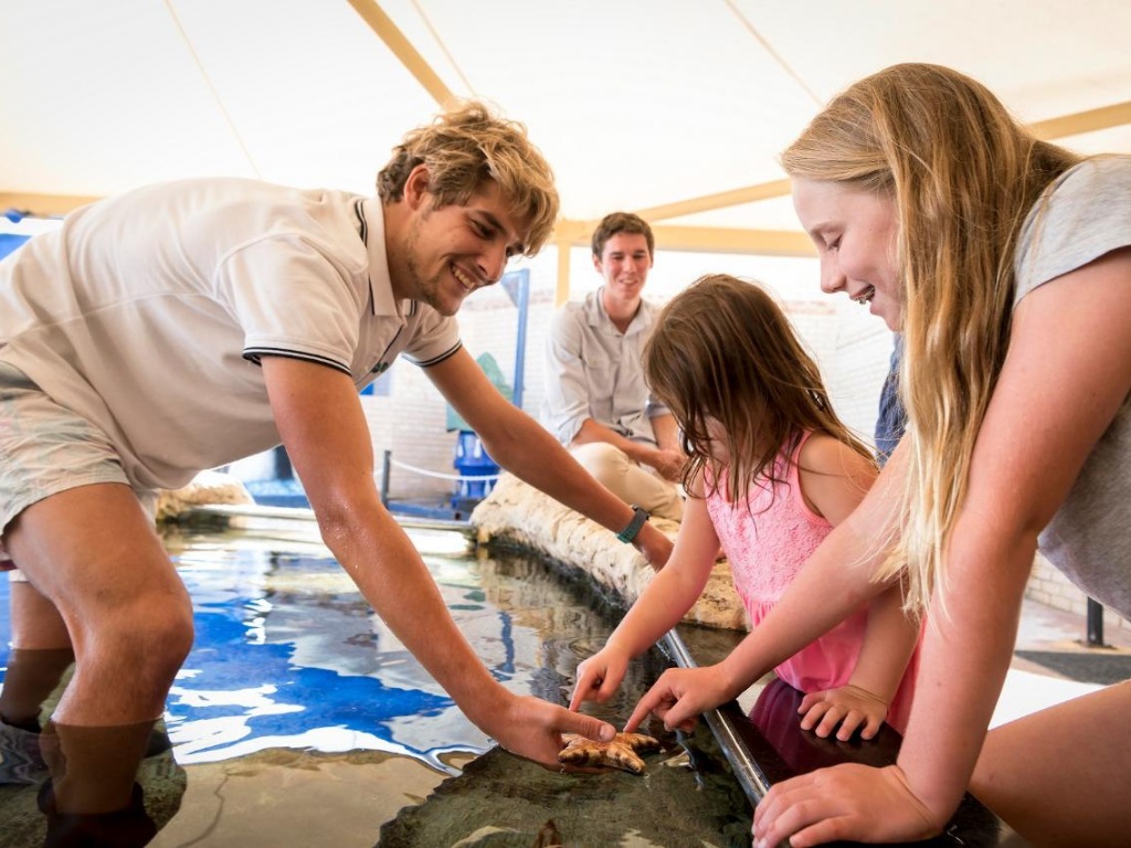 Marine Scientist for a Day at AQWA 2021 | What's on in Hillarys