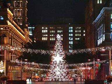 Sydney's largest Christmas tree will delight audiences and brighten up Martin Place from Saturday 28 November to Thursda...