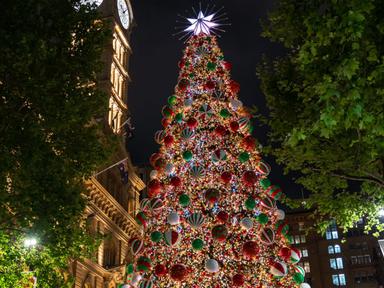 The tallest Christmas tree in NSW is decorated with more than 110,000 LED lights, a 3.4-metre colour-changing star and 3...