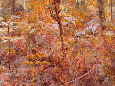 Mary Tonkin is one of Australia's leading landscape painters whose epic, immersive paintings respond to the changing sea...