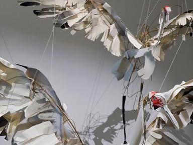 Mating Dance by Anna-Wili Highfield is an installation featuring life-sized brolgas in courtship formations, paying homa...