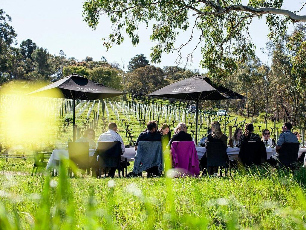 Medhyk 2020 Release & Brightlands Shiraz Launch Luxurious Lunch 2024 | What's on in Mclaren Vale