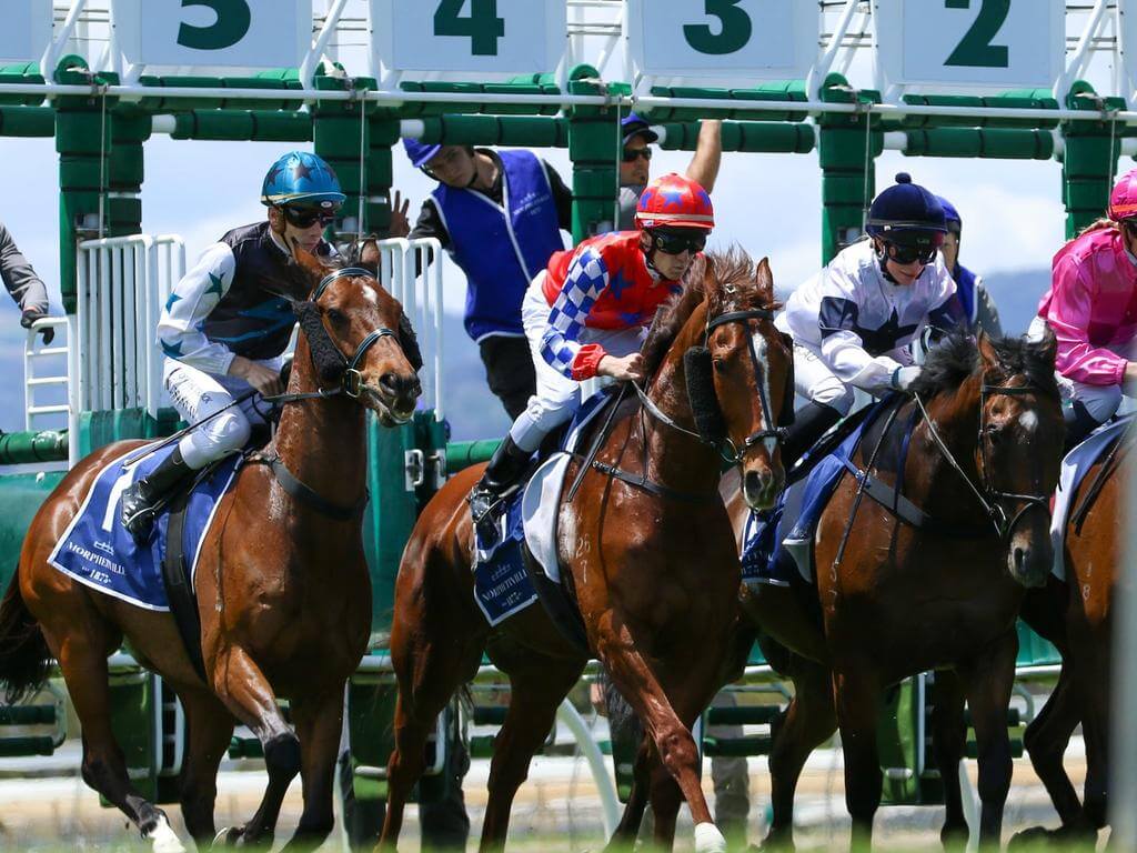 Melbourne Cup Day 2023 | What's On In Morphettville