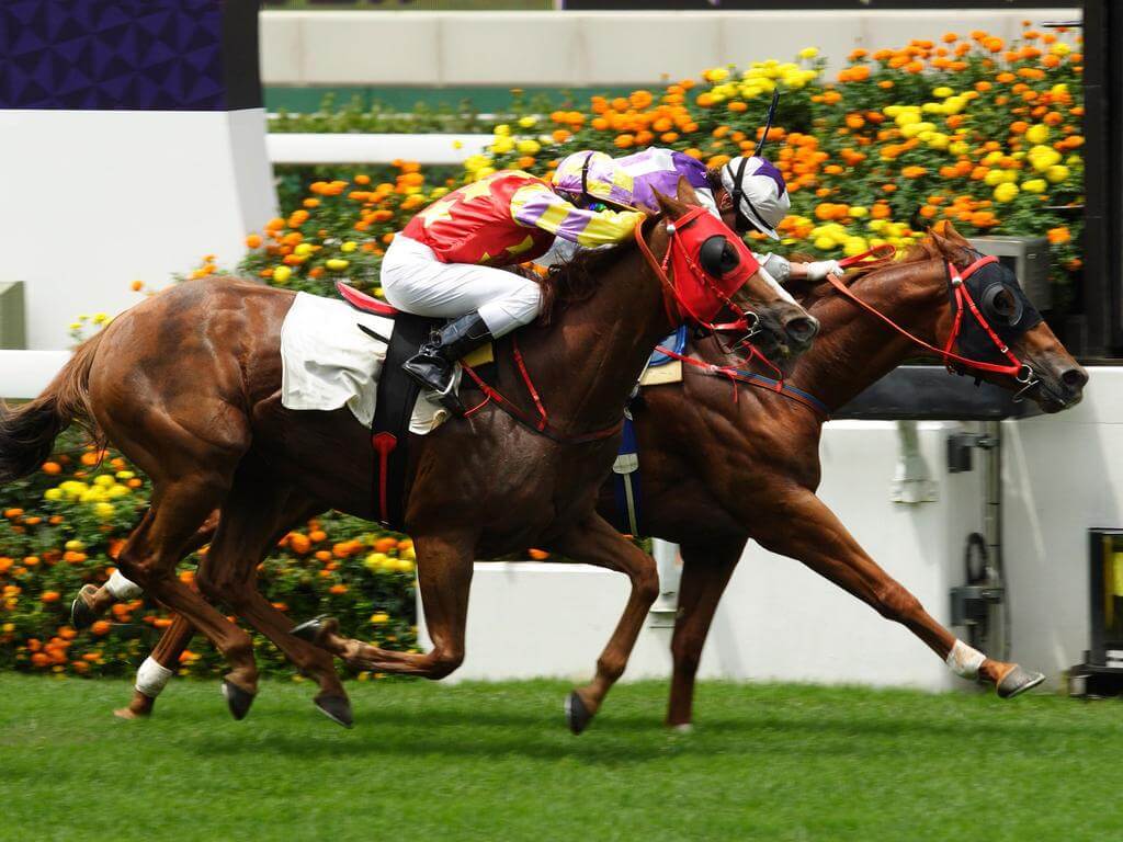 Melbourne Cup Lunch 2023 Adelaide