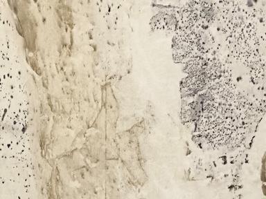 Michelle Van Eimeren is a multi-media artist who will be sharing a large selection of works at CBD Gallery. Her work inc... Michelle Van Eimeren is a multi-media artist who will be sharing a large selection of works at CBD Gallery. Her work inc...