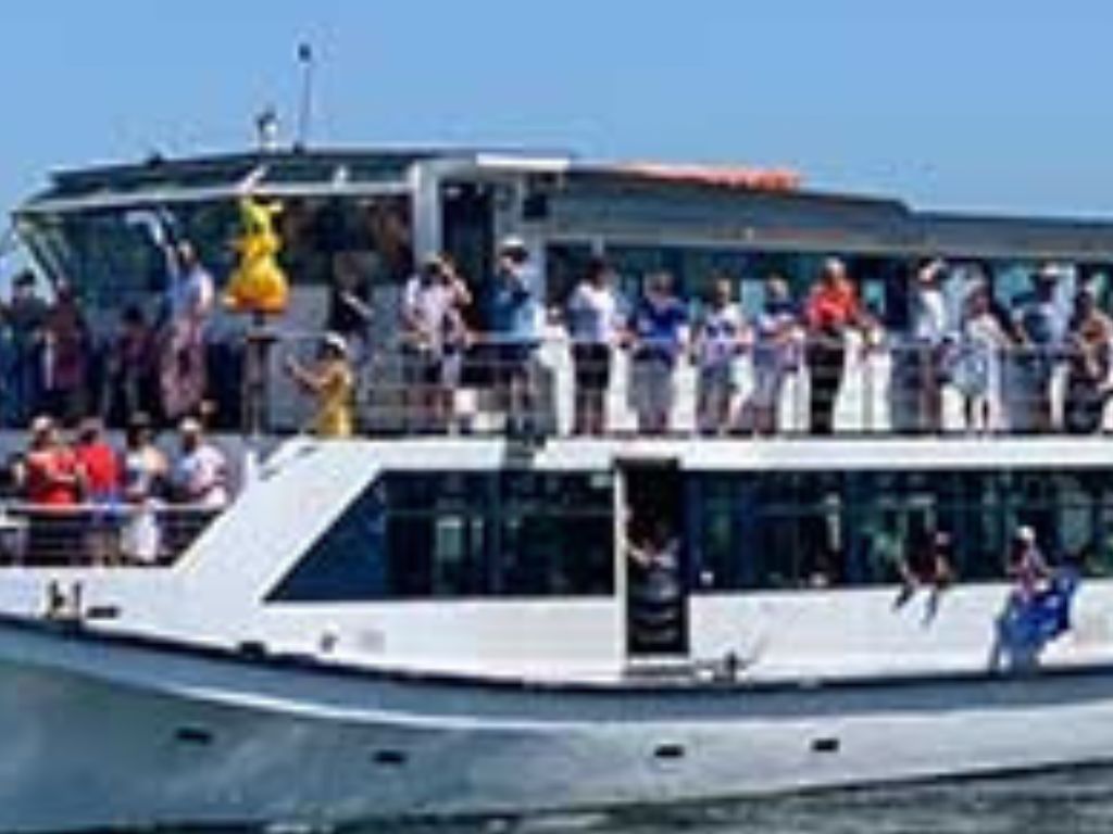 Morning Dolphin Spotting River Cruise 2024 | Sydney