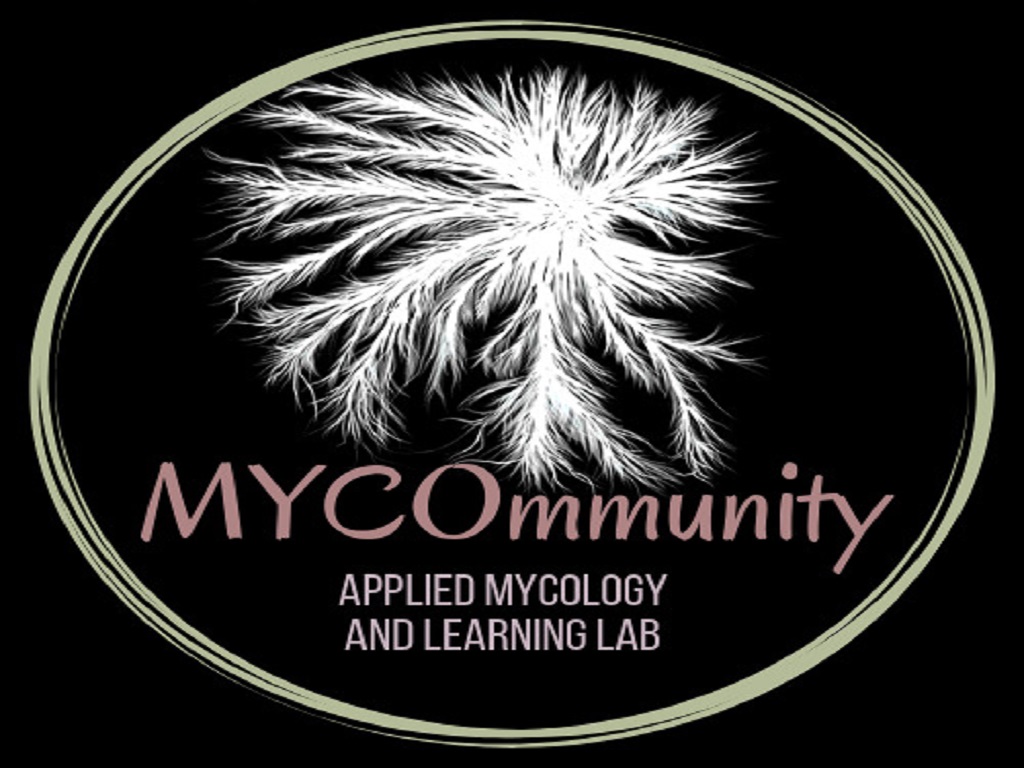 Mushroom Foraging and Insect Zombies with MYCOmmunity 2020 | Melbourne