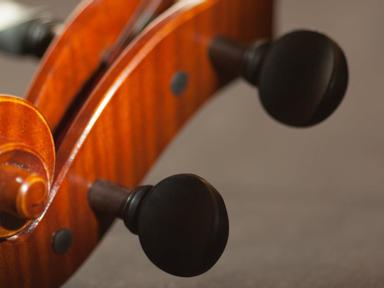 The Waverley Library Music Appreciation Class returns for a three-part Classical Music Series. Join our qualified musico...