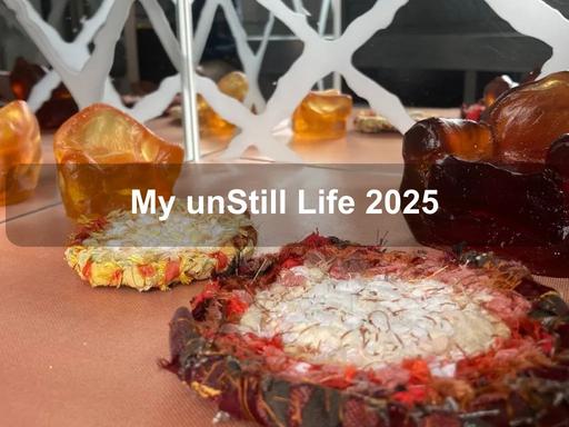 My unStill Life by Cam Michael delves into the interplay between work and home life, celebrating the value of the familiar