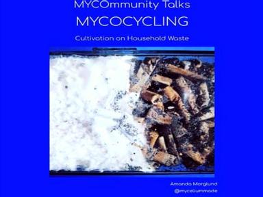 29 Aug - Mycocycling and 19 Sep - Mycomaterials and Mycotailoring