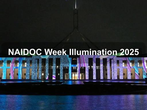The façade of Australian Parliament House will be illuminated with the striking colours and design of Michelle's Tjala Dreaming (Honey Ant), a 2023 artwork by Michelle Lewis The façade of Australian Parliament House will be illuminated with the striking colours and design of Michelle's Tjala Dreaming (Honey Ant), a 2023 artwork by Michelle Lewis