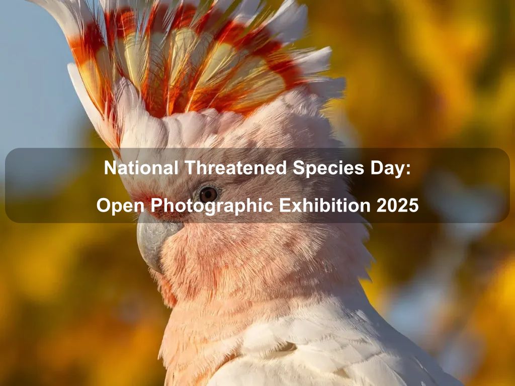 National Threatened Species Day: Open Photographic Exhibition 2025 | What's on in Throsby