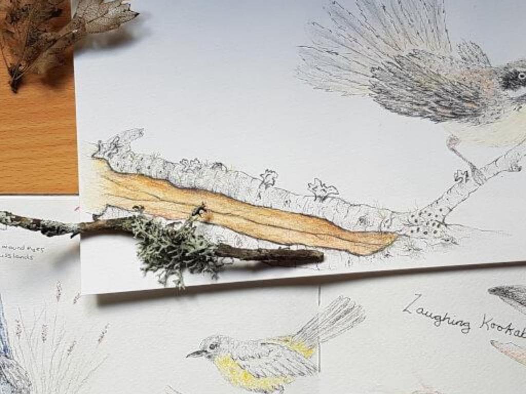 Nature Journaling at Sydney 2025 | What's on in Sydney Nature Journaling at Sydney 2025 | What's on in Sydney