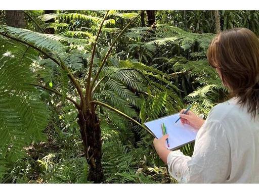 This two-hour beginner workshop explores the Gardens' Southern China collection, through the senses and science of natur... This two-hour beginner workshop explores the Gardens' Southern China collection, through the senses and science of natur...