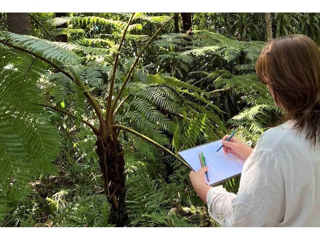 Nature Journaling Workshop: Southern China Collection 2025 | What's on in Melbourne Nature Journaling Workshop: Southern China Collection 2025 | What's on in Melbourne
