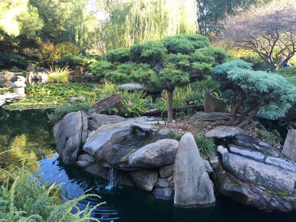 Nature Therapy and Forest Bathing at Himeji Japanese Gardens - WellFest Adelaide 2023 | Adelaide