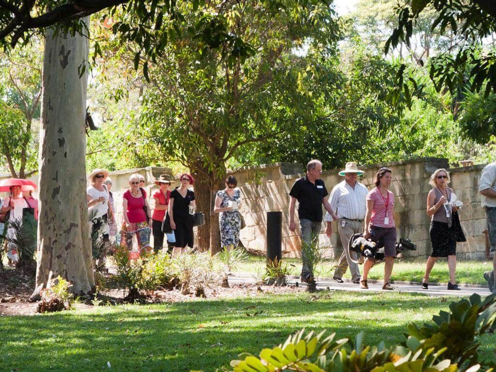 Nature therapy walks 2021 | What's on in Sydney