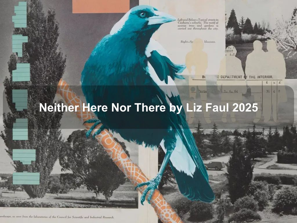 Neither Here Nor There by Liz Faul 2025 | What's on in Belconnen