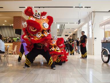 In Chinese culture- the lion symbolizes power- wisdom- and superiority.People perform lion dances at Lunar New Year to b...