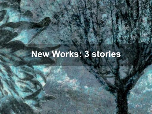 New Works: 3 stories' is a group exhibition by Susan Morris, Caryn Giblin & Paula Watson New Works: 3 stories' is a group exhibition by Susan Morris, Caryn Giblin & Paula Watson