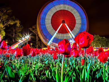 When the sun goes down, explore Floriade's dark side as NightFest returns with a new and exciting program of after dark ...