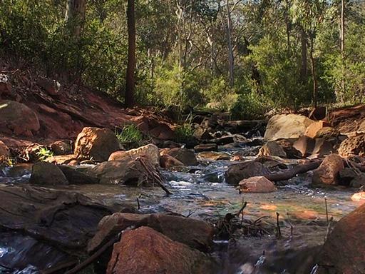 Djilba is the fifth season in the Nyoongar Calendar. This is the season of growth, as the weather begins to warm up. Dji... Djilba is the fifth season in the Nyoongar Calendar. This is the season of growth, as the weather begins to warm up. Dji...