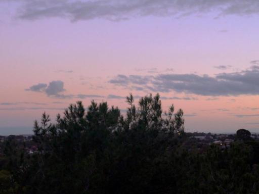 Djilba is the fifth season in the Nyoongar Calendar. This is the season of growth, as the weather begins to warm up. Dji... Djilba is the fifth season in the Nyoongar Calendar. This is the season of growth, as the weather begins to warm up. Dji...