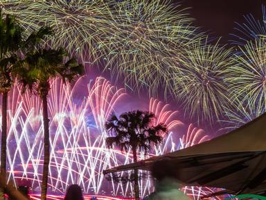 Flash sale heavily discounted tickets to the first 50 guests! Enjoy dinner under the Sydney Harbour fireworks this New Y...