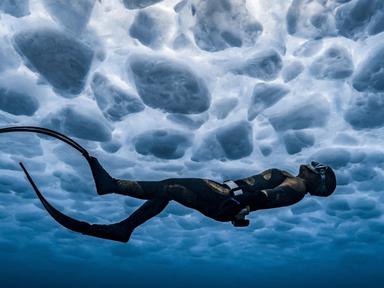 Ocean Photographer of the Year showcases all the winners and finalists from Oceanographic Magazine's renowned competitio...