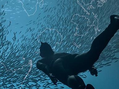 One Ocean, Our Future brings you the wonders of the ocean and the diversity of Australia's marine life. Discover, manipu...