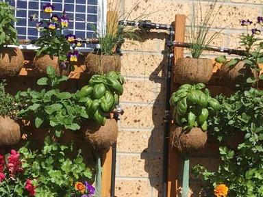 Join the online Grow it Local workshop by Sophie Thomson as she takes us through growing veggies vertically to maximise ...