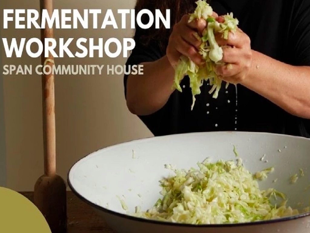 Online Fermenting Workshop Series 2020 | Melbourne
