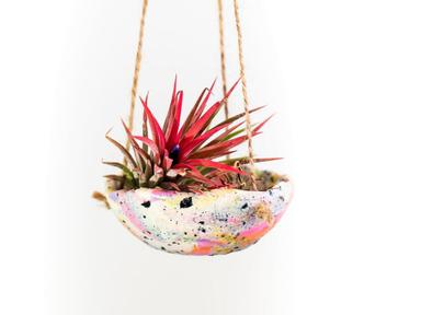 Hand build hanging clay air planters - plants included!This class is held online.Upon booking- you'll get a craft box wi...