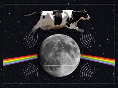 Orchestral Dark Side Of The Moon 2023