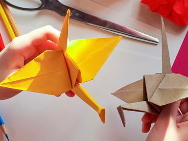 Join expert origami artist Sanny Ang for a unique lesson in paper folding. Sanny will use storytelling, jokes, and demon...