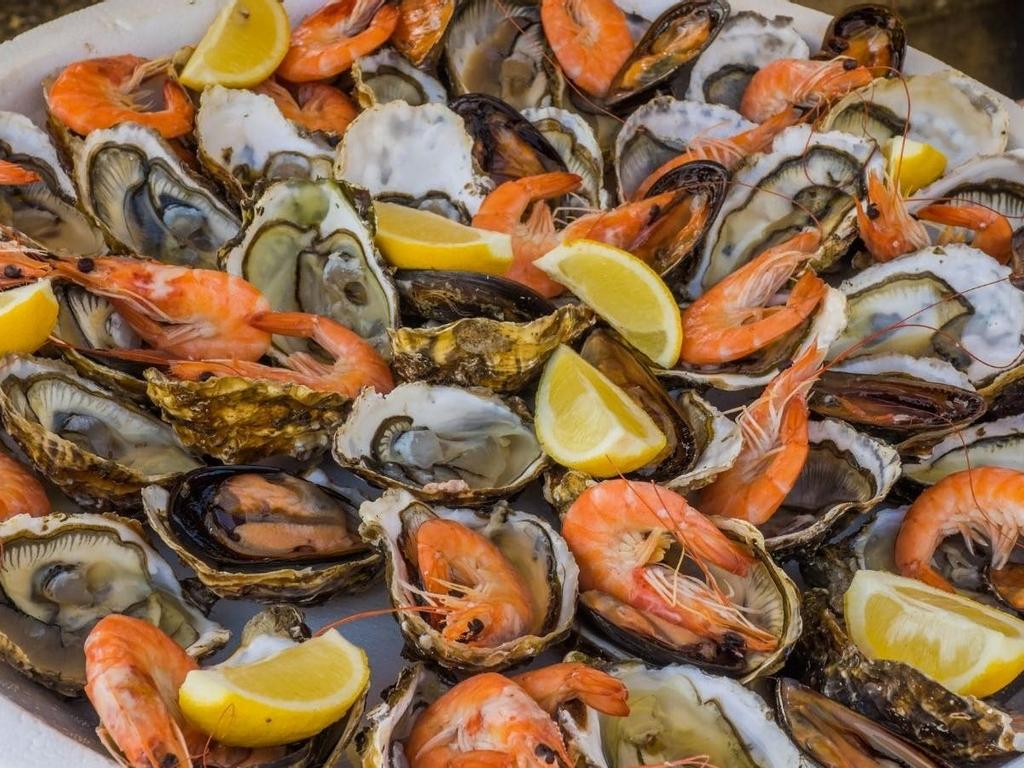 Oyster Fest! 2021 | What's on in South Brisbane