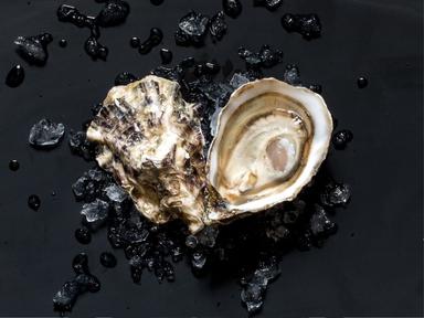 The annual Oyster Festival returns for 2023, delivering new and exciting oyster-infused offerings.