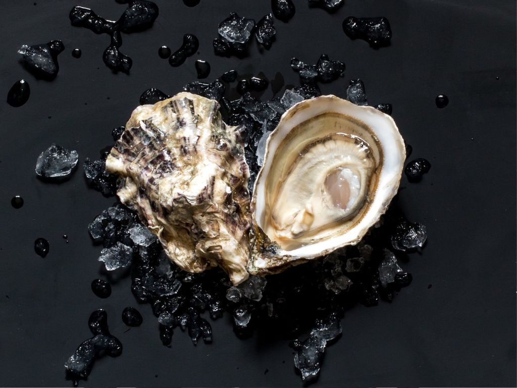 Oyster Festival at Sean's Kitchen 2023 | Adelaide