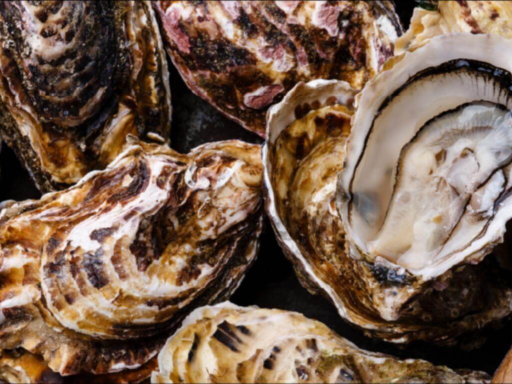 Enjoy a half dozen oysters for $22 or a full dozen for $36 or have it all with an oyster and ceviche