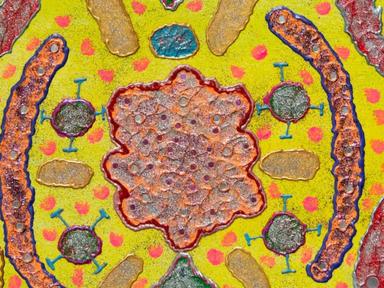 Full of energy and vigor, Pat Larter's paintings developed from her lifetime of performance, posing and mail art.Pat beg...