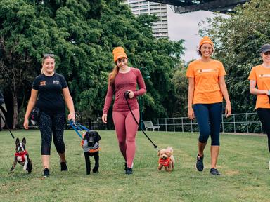 Pawgust is a fitness and fundraising challenge that encourages people and their pooches to brave the cold and walk or ru...