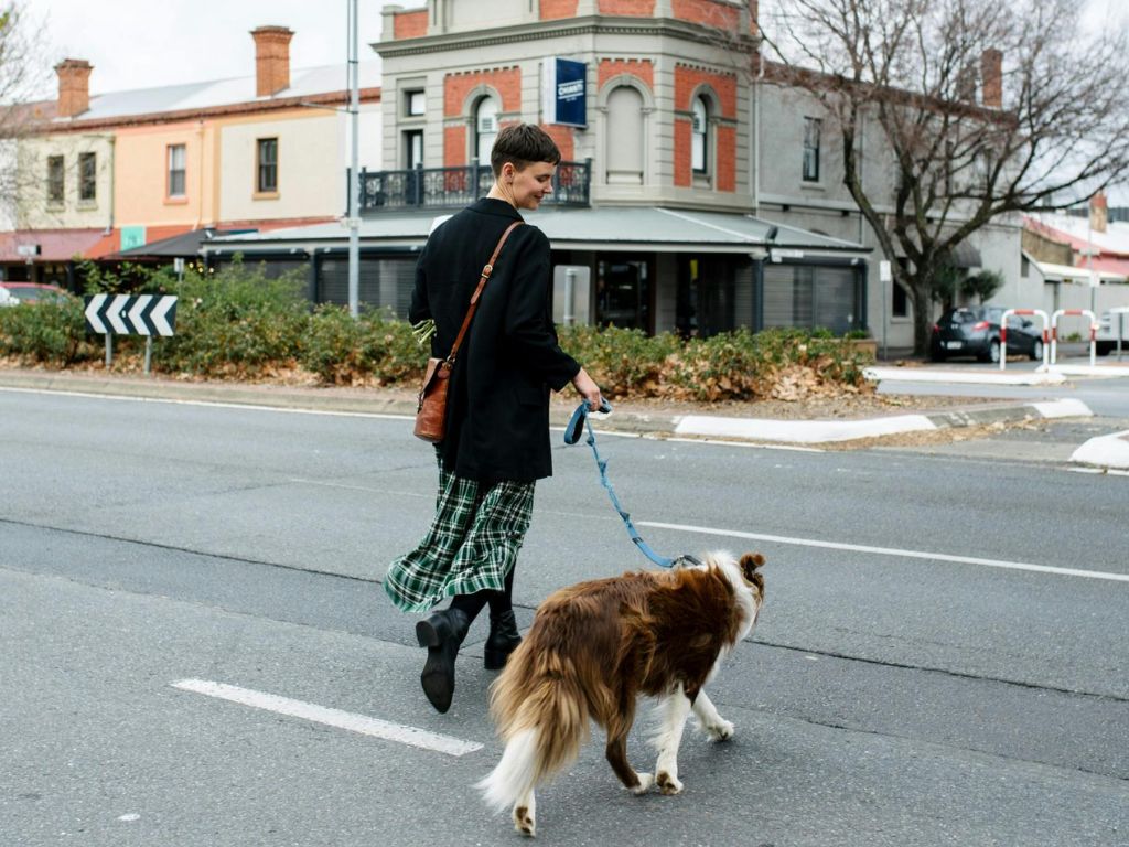 Paws and Plushies - Hutt Street Scavenger Hunt 2024 | What's on in Adelaide