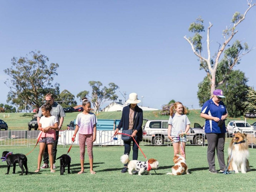 Pawsitive Steps Festival 2024 | What's on in Sydney