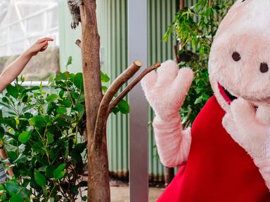 WILD LIFE Sydney Zoo is excited to welcome Peppa Pig for an animal adventure these school holidays.Little piggies are in...