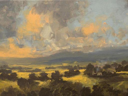 Art Images Gallery is excited to welcome back three times Glover Prize finalist Peter Watts to the gallery, for his seco...